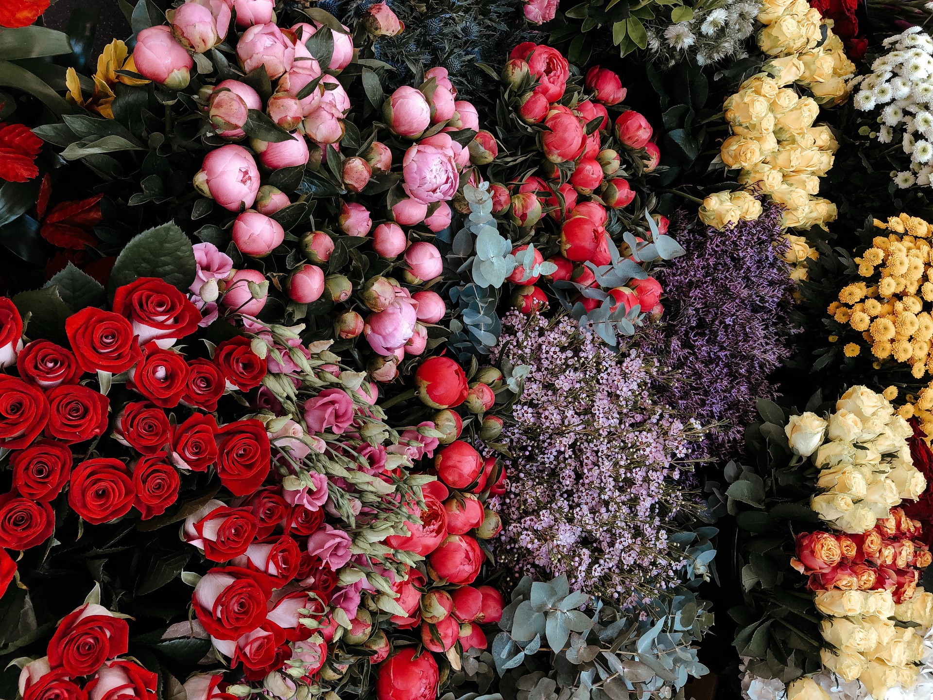 上海小程序開發(fā)，上海鮮花批發(fā)商城小程序開發(fā)，擁抱行業(yè)新機(jī)遇