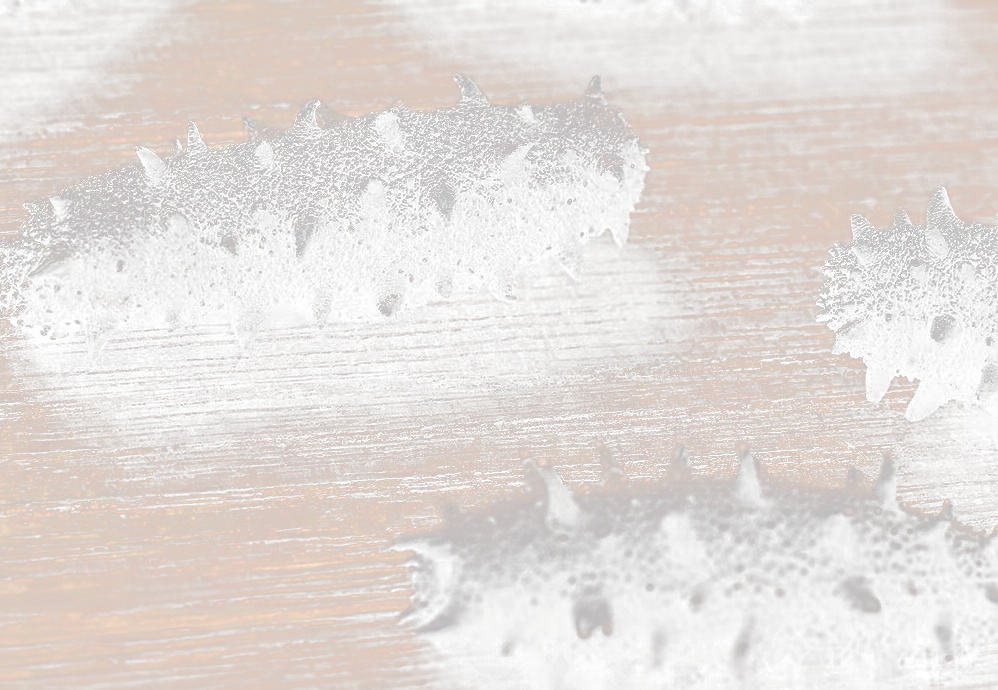 北京小程序開發(fā)，海參電商小程序開發(fā)該如何運營？