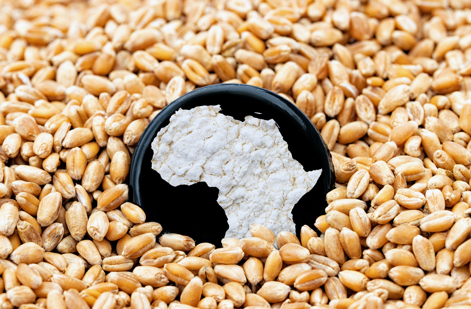 北京糧食飼料原料購銷app開發(fā)，購銷一鍵連接