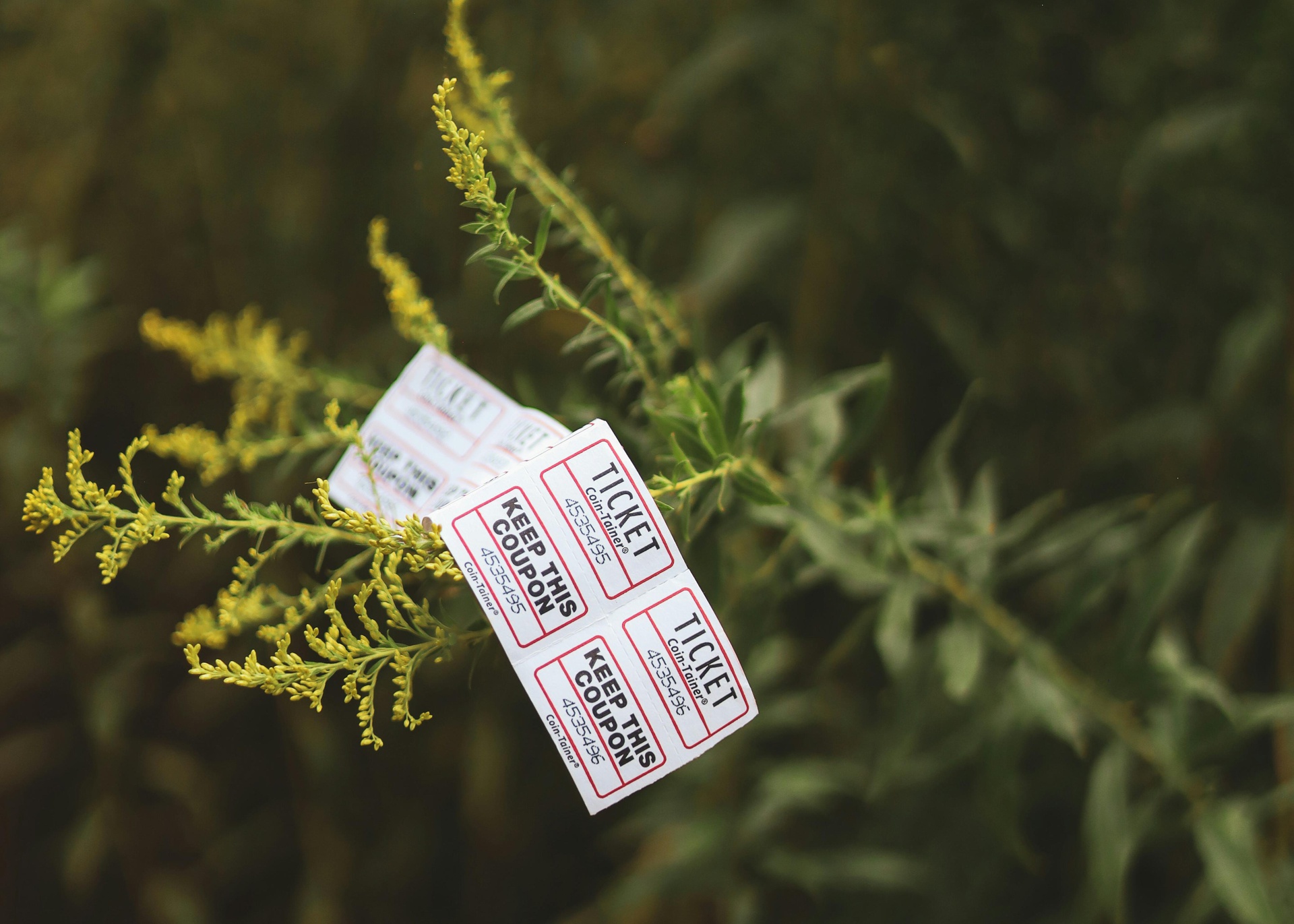 娛樂實(shí)時(shí)榜單推薦