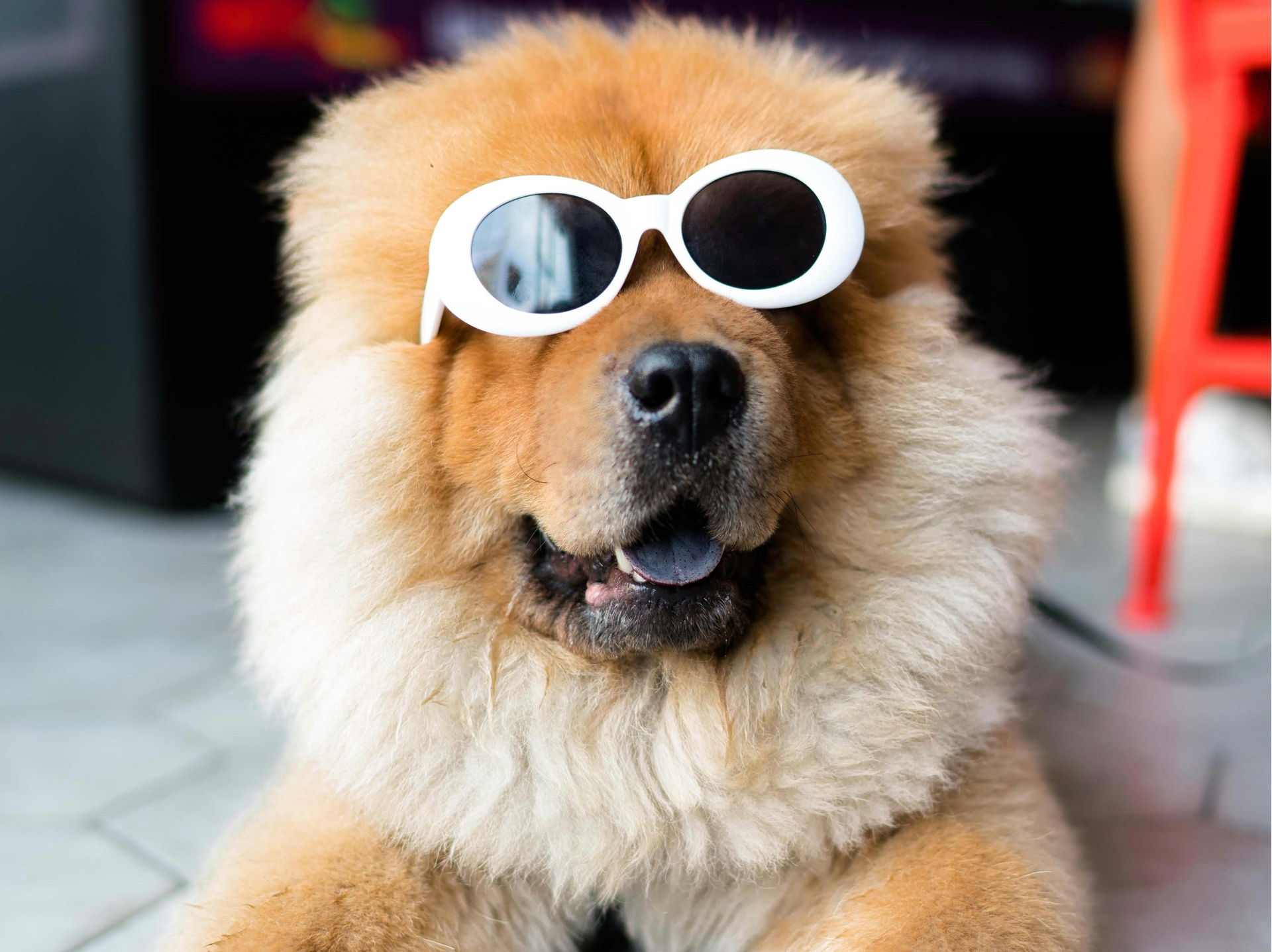 北京娛樂搞笑類App開發(fā)，開啟歡樂新引擎