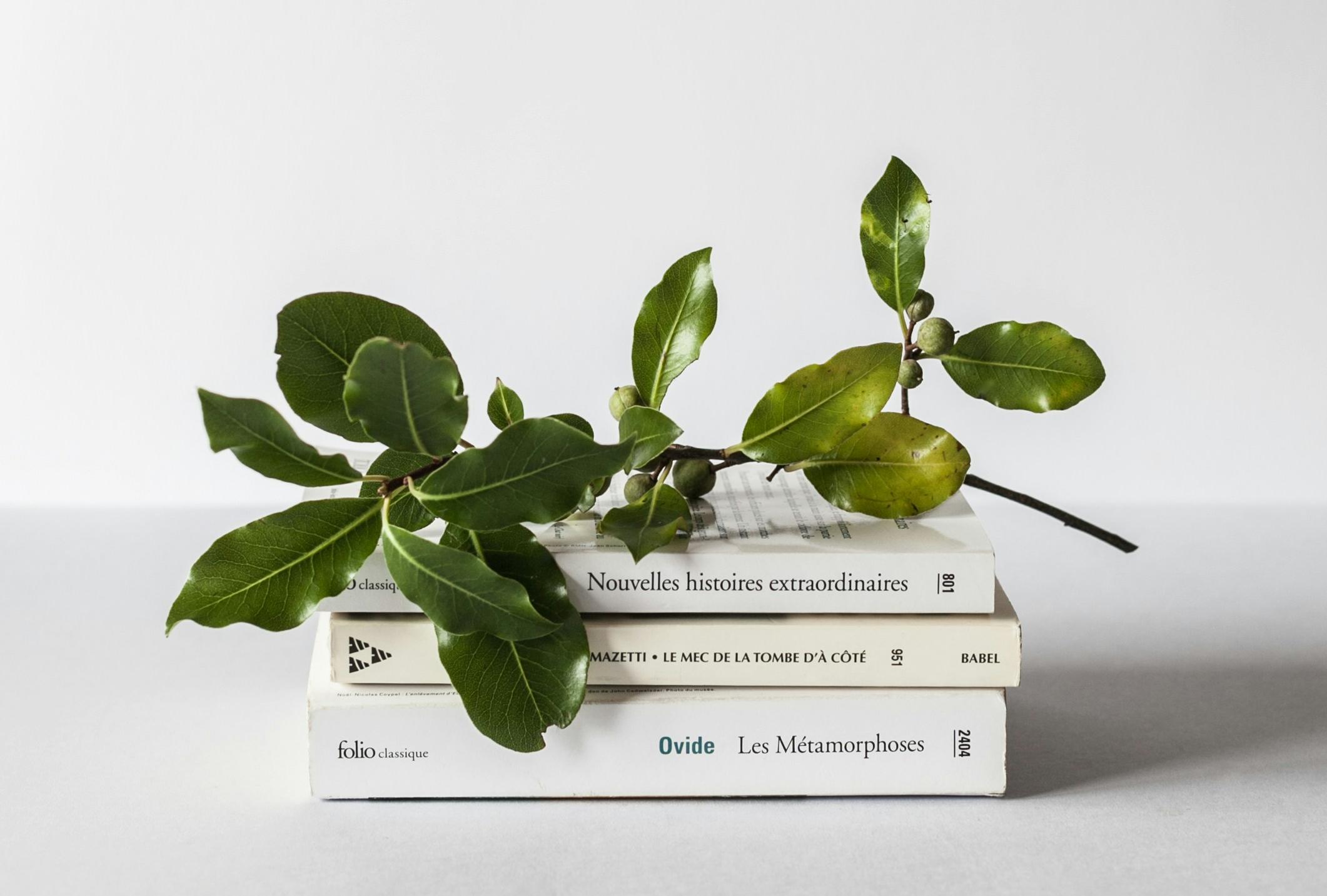 煙臺誦讀配樂小程序開發(fā)有哪些核心功能？