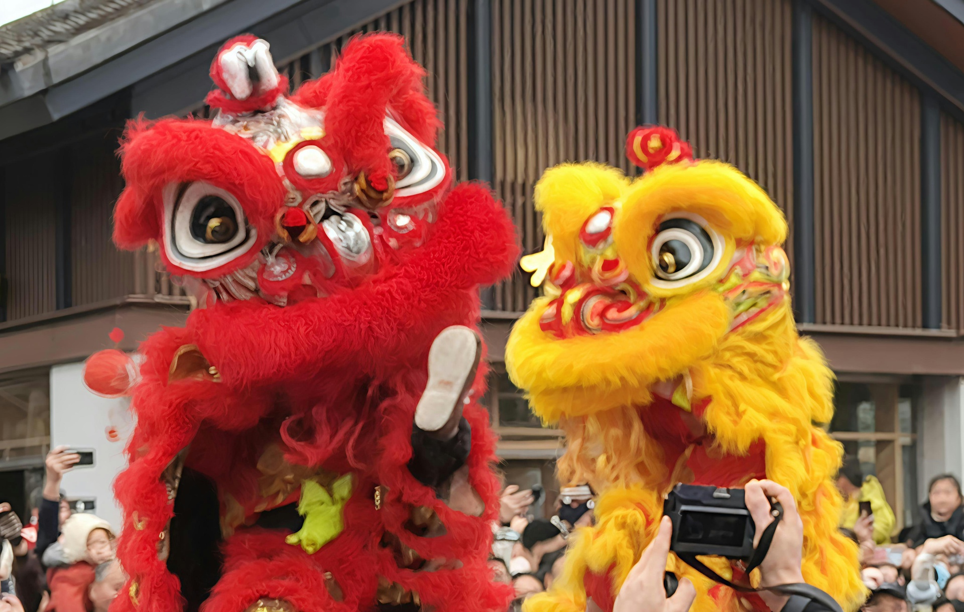 保定非遺文化信息資訊平臺(tái)App開發(fā)的功能介紹