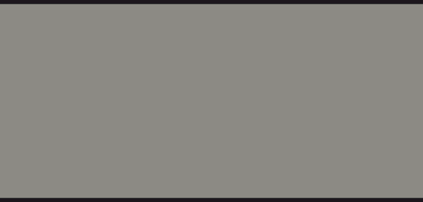 P823A N